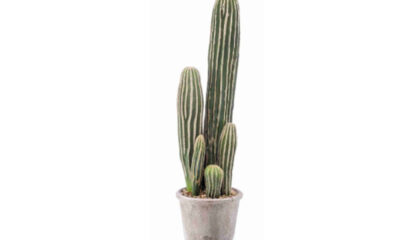 Kunstlill kaktus hallis potis 57cm