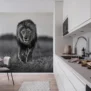 Rebel Walls fototapeet Lion King R19160