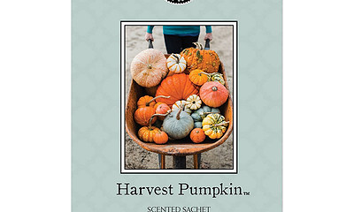 Lõhnakott Harvest Pumpkin