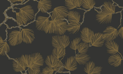 804 99 pine black sandberg wallpaper product – koopia