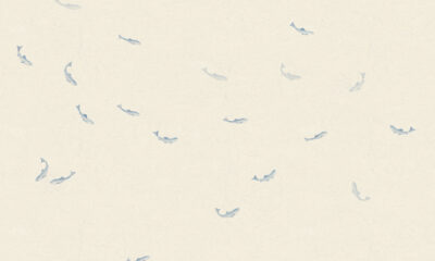 s10353 hav misty blue sandberg wallpaper product