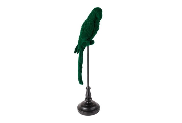 Bold Monkey tool The Winner Takes It All