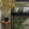 De Eekhoorn kunsttaim Bamboo