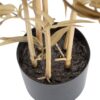 De Eekhoorn kunsttaim Bamboo