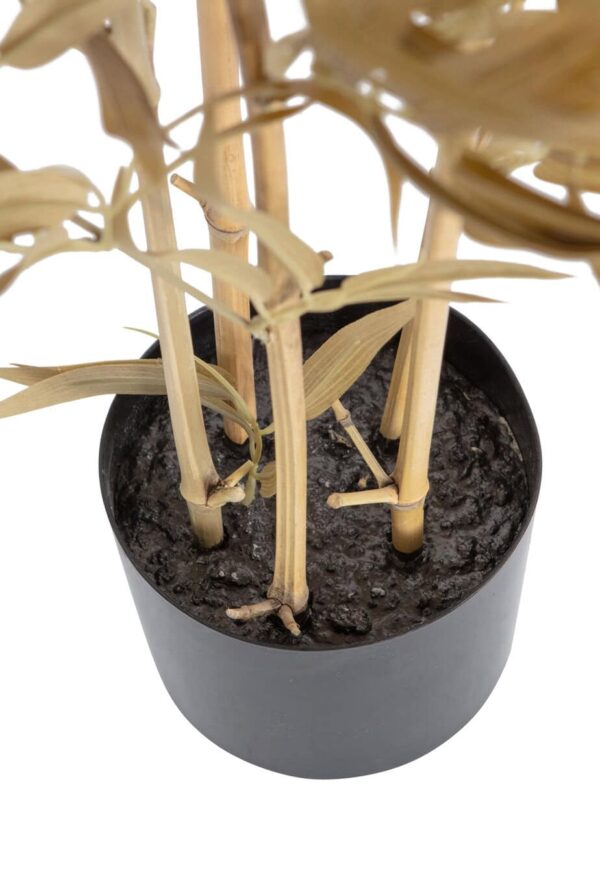 De Eekhoorn kunsttaim Bamboo