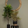 De Eekhoorn kunsttaim Bamboo