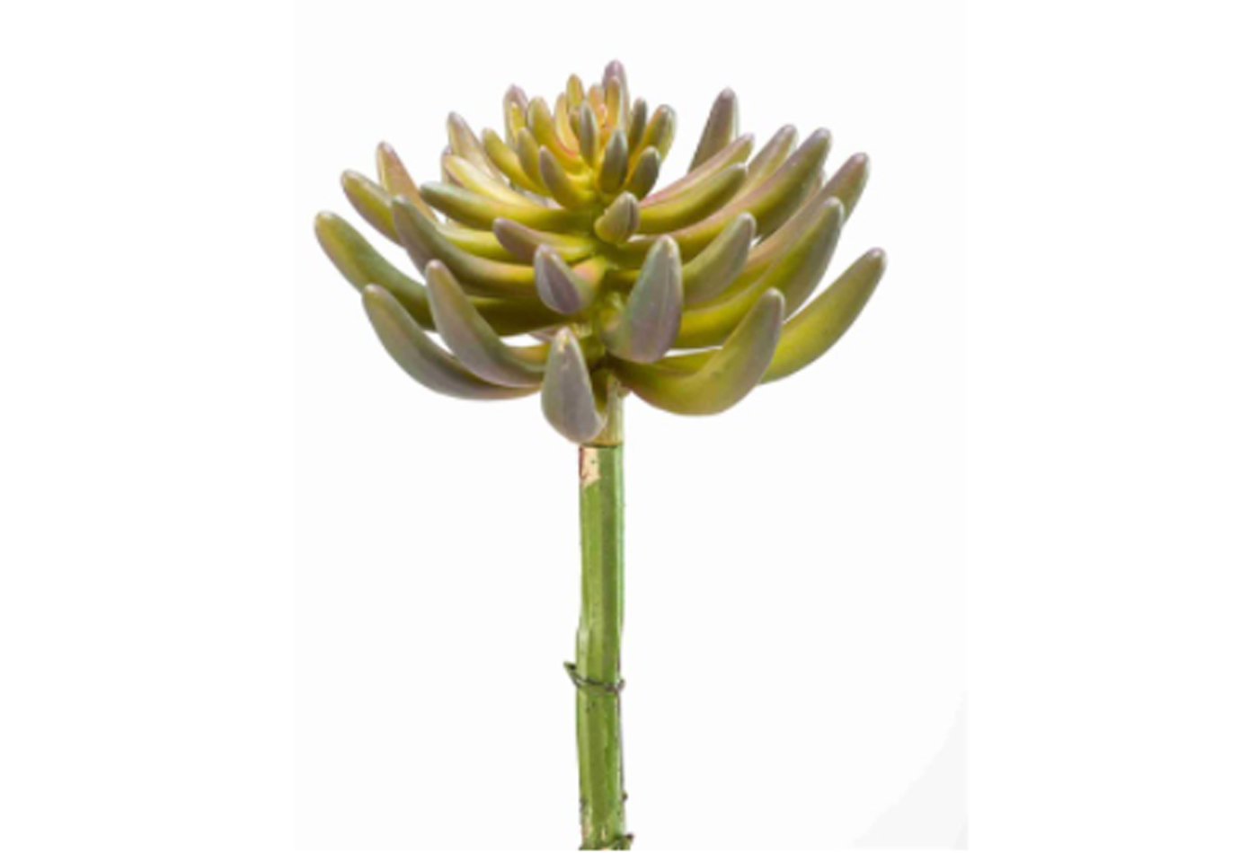 Kunstlill sukulent 14cm