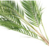 Kunstlill palmilehed 85cm