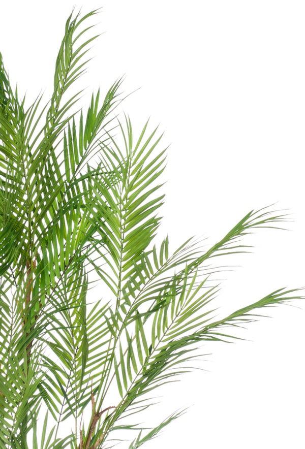 Kunstlill mägipalm 120cm
