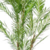 Kunstlill mägipalm 120cm