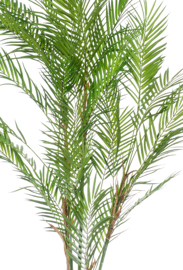 Kunstlill mägipalm 120cm