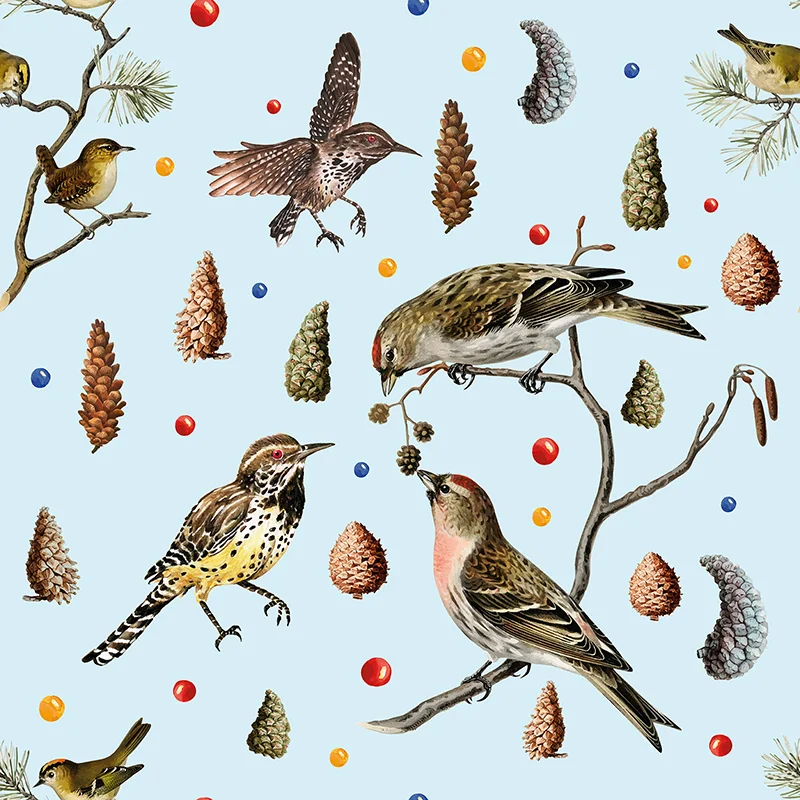 Baubauwall fliistapeet Bird Sandcones 51100010