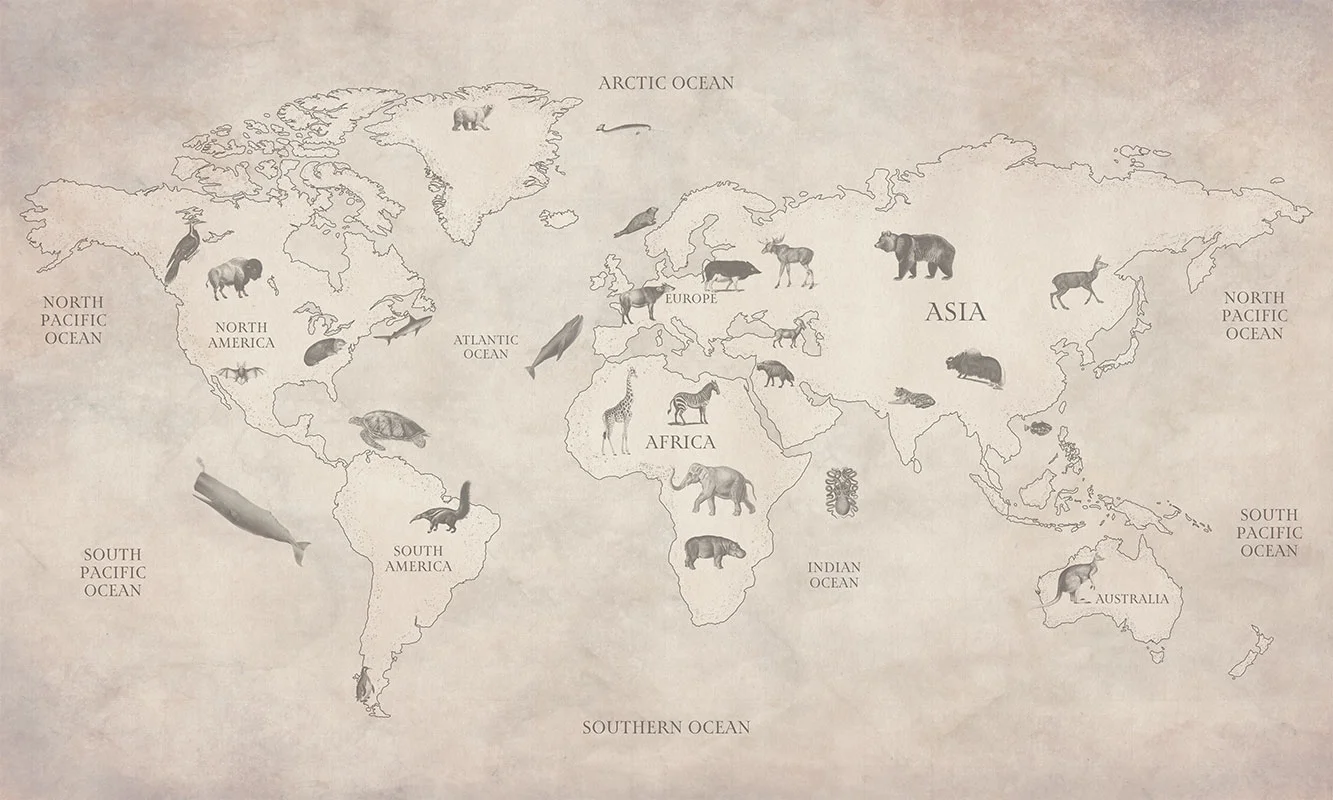 Baubauwall pilttapeet World Map Animal Safari 51200100