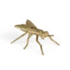 Bold Monkey kärbes Who Do You Wanna Bee