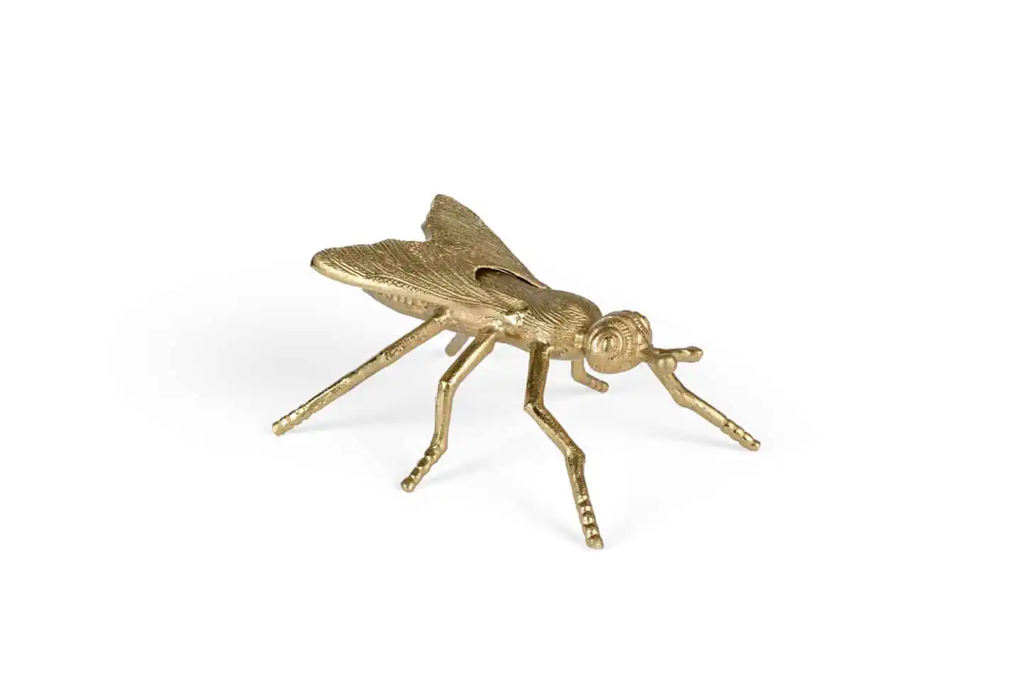 Bold Monkey kärbes Who Do You Wanna Bee