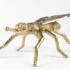 Bold Monkey kärbes Who Do You Wanna Bee