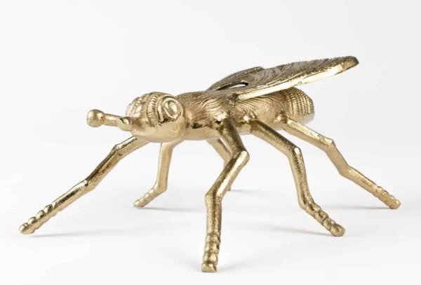 Bold Monkey kärbes Who Do You Wanna Bee