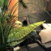 1838 Wallcoverings fliistapeet 1601-101-04