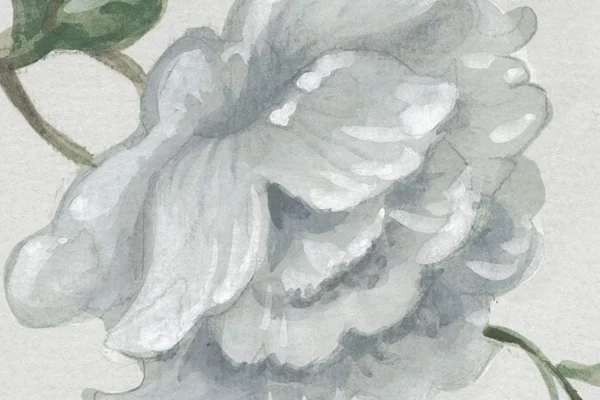 Rebel Walls fototapeet GRANDIFLORA R19336