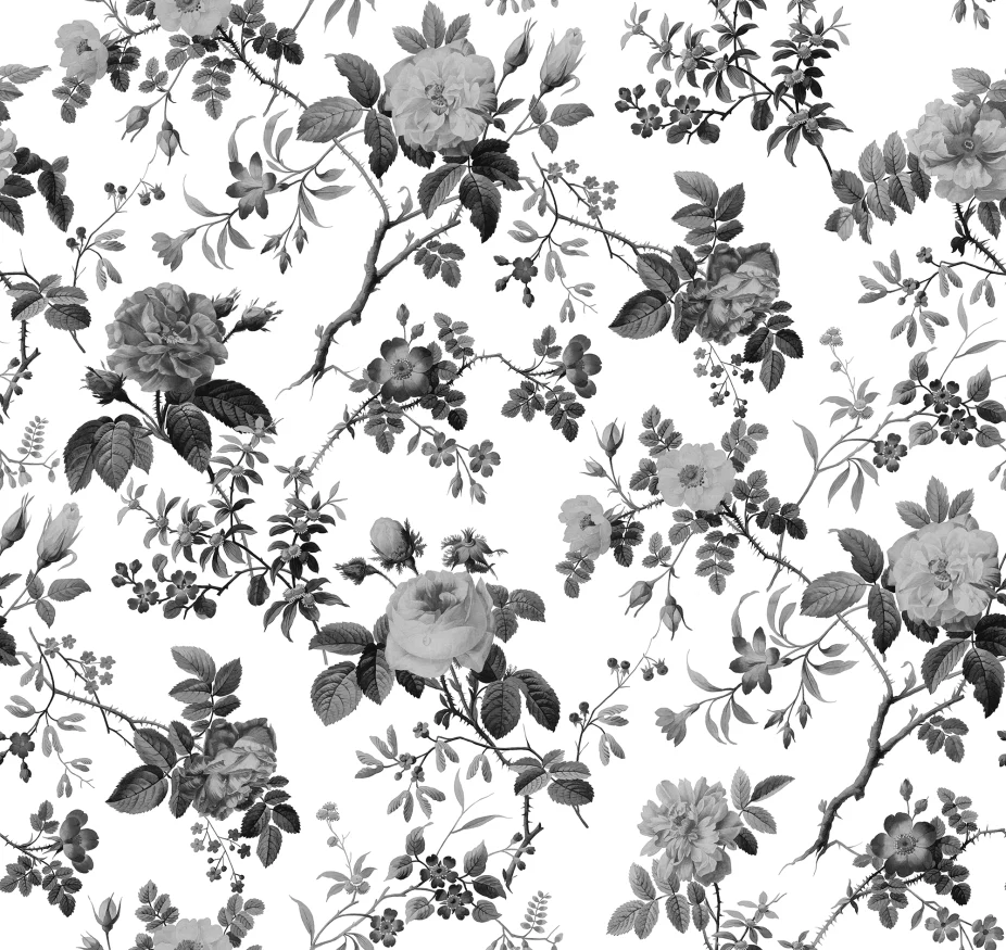 Rebel Walls fototapeet THORN ROSE R19449