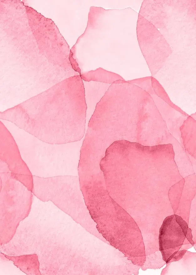 Rebel Walls fototapeet PETALS MAGENTA R19513