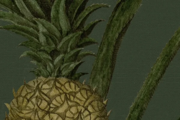Rebel Walls fototapeet PINEAPPLE R19649