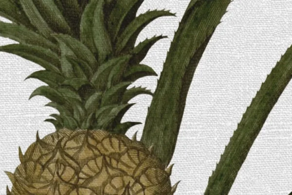 Rebel Walls fototapeet PINEAPPLE R19650