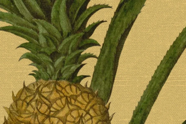 Rebel Walls fototapeet PINEAPPLE R19651