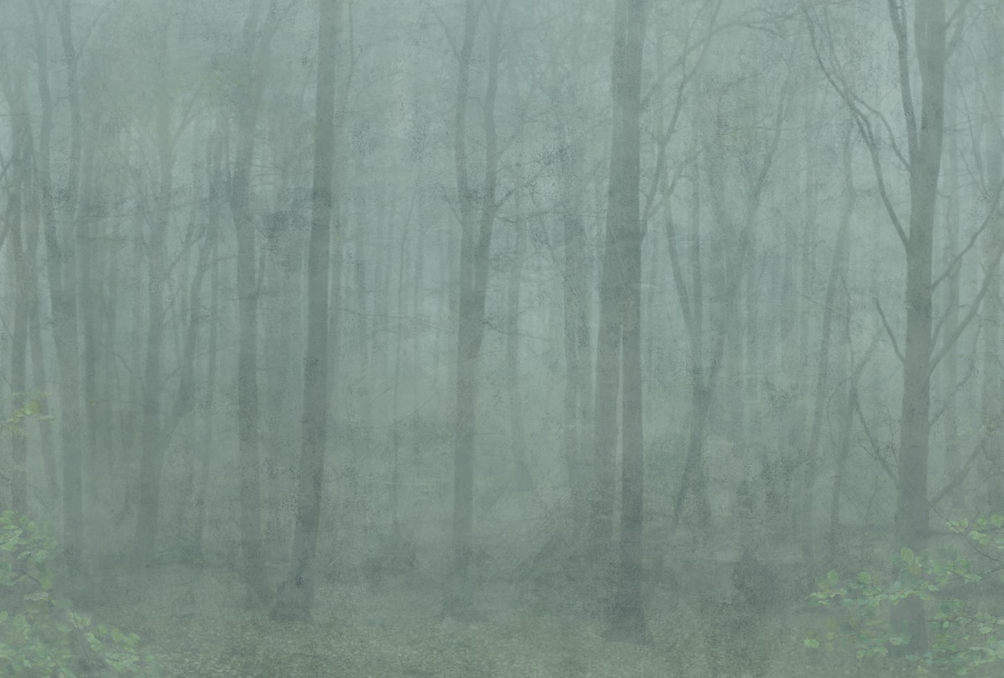 Sandberg pilttapeet Skog Forest Green 622-08