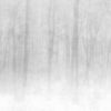 Sandberg pilttapeet Vinterskog Grey 622-18