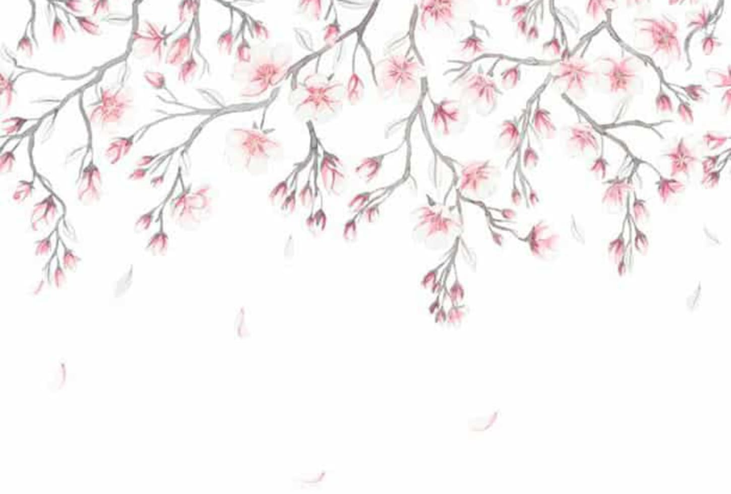 Sandberg pilttapeet Sakura Mural Pink 627-03