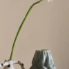 borastapeter fliistapeet kamelia 5730 (kopeeri)