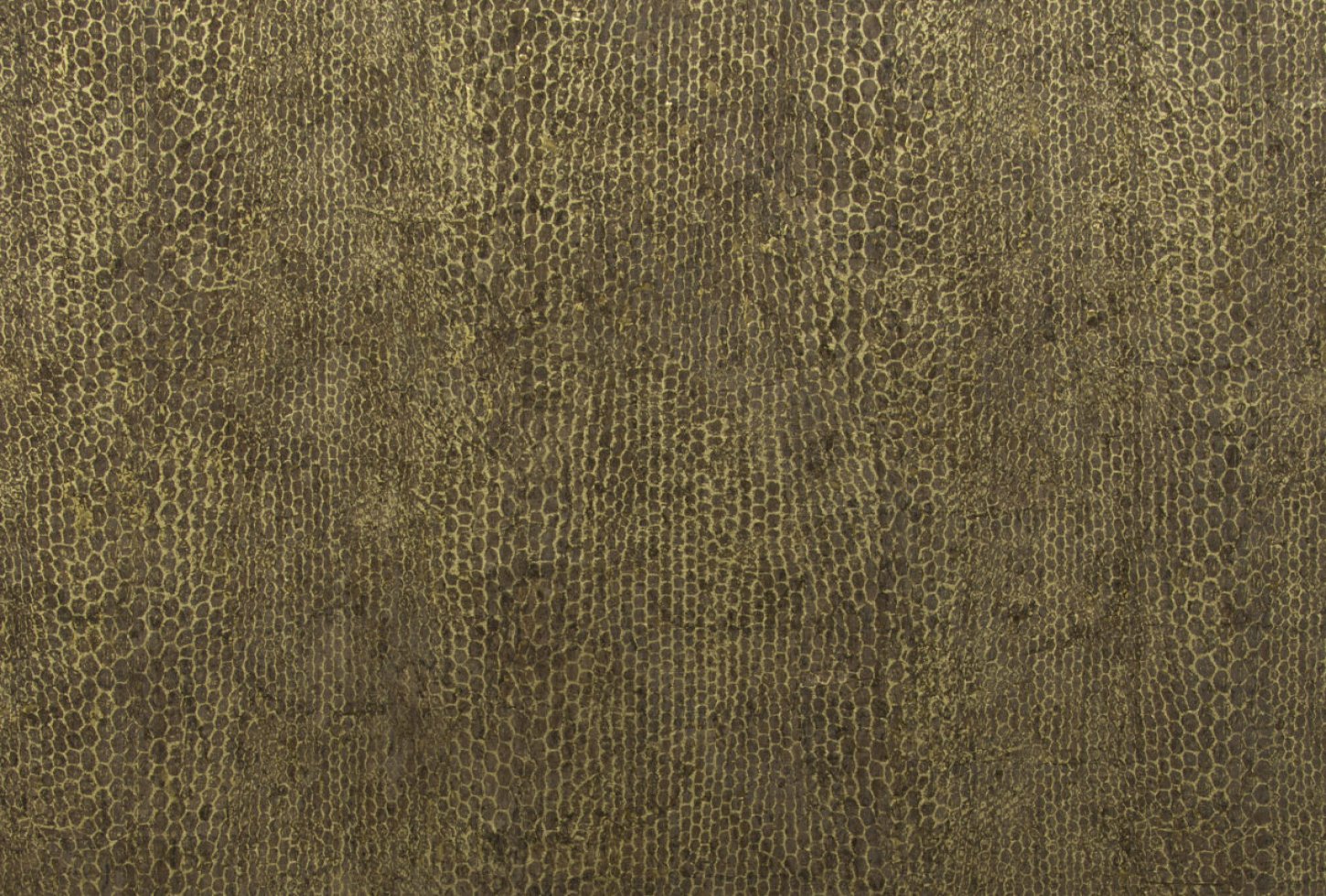 ca24_resized Omexco CA24 seinakate