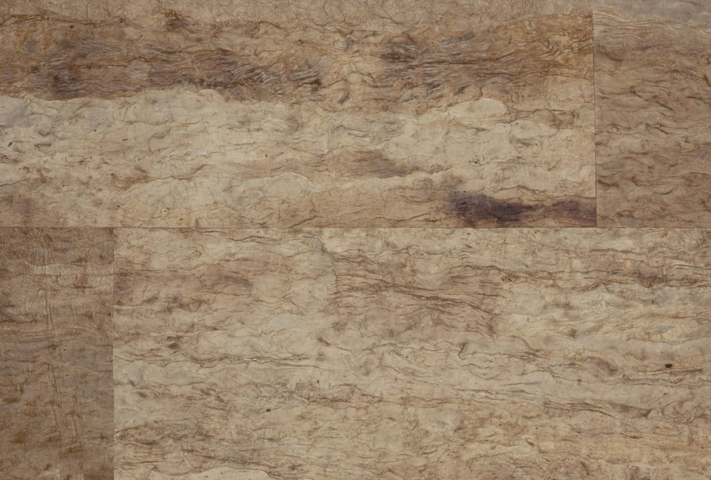 cas23_diff_resized Omexco Mulberry CAS23 seinakate