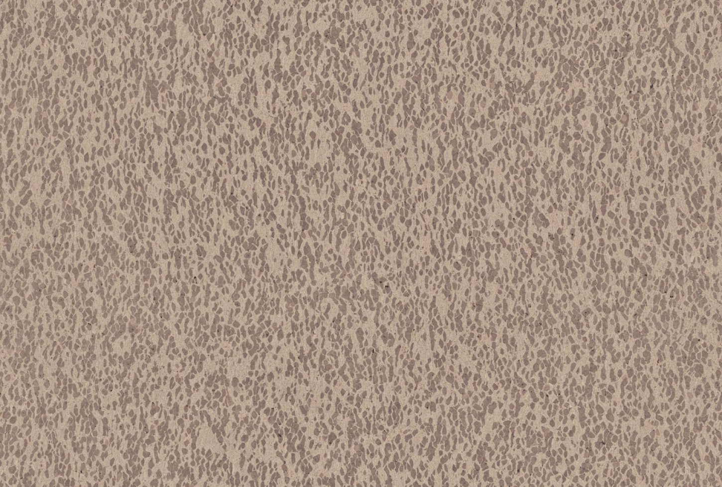 cas31_diff_resized Omexco Motion CAS31 seinakate