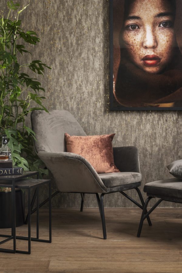 Omexco  CA14 seinakate