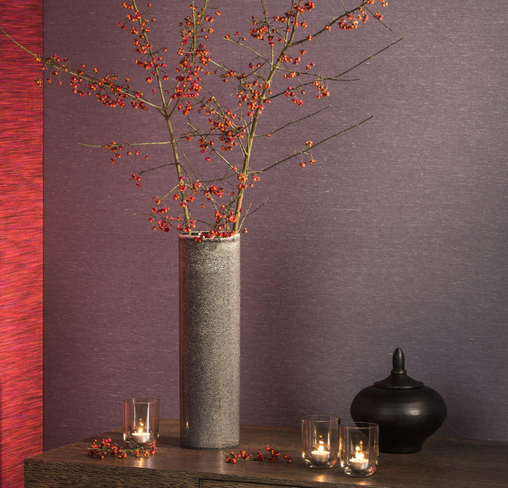 ega4-zoom-ega4111 Omexco EGA4114 seinakate