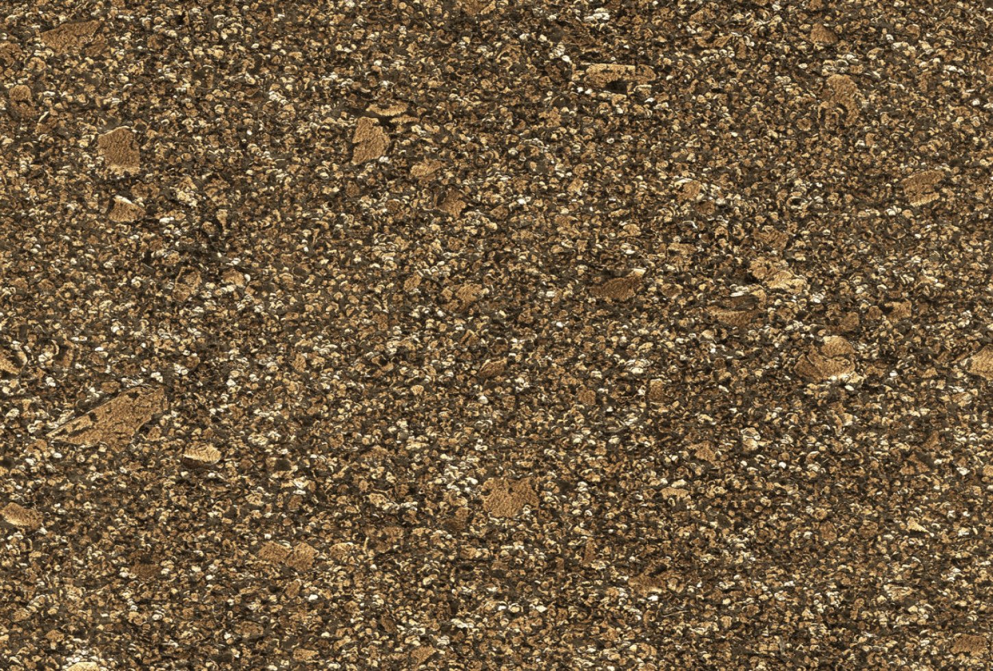 Omexco  GRA6060 seinakate