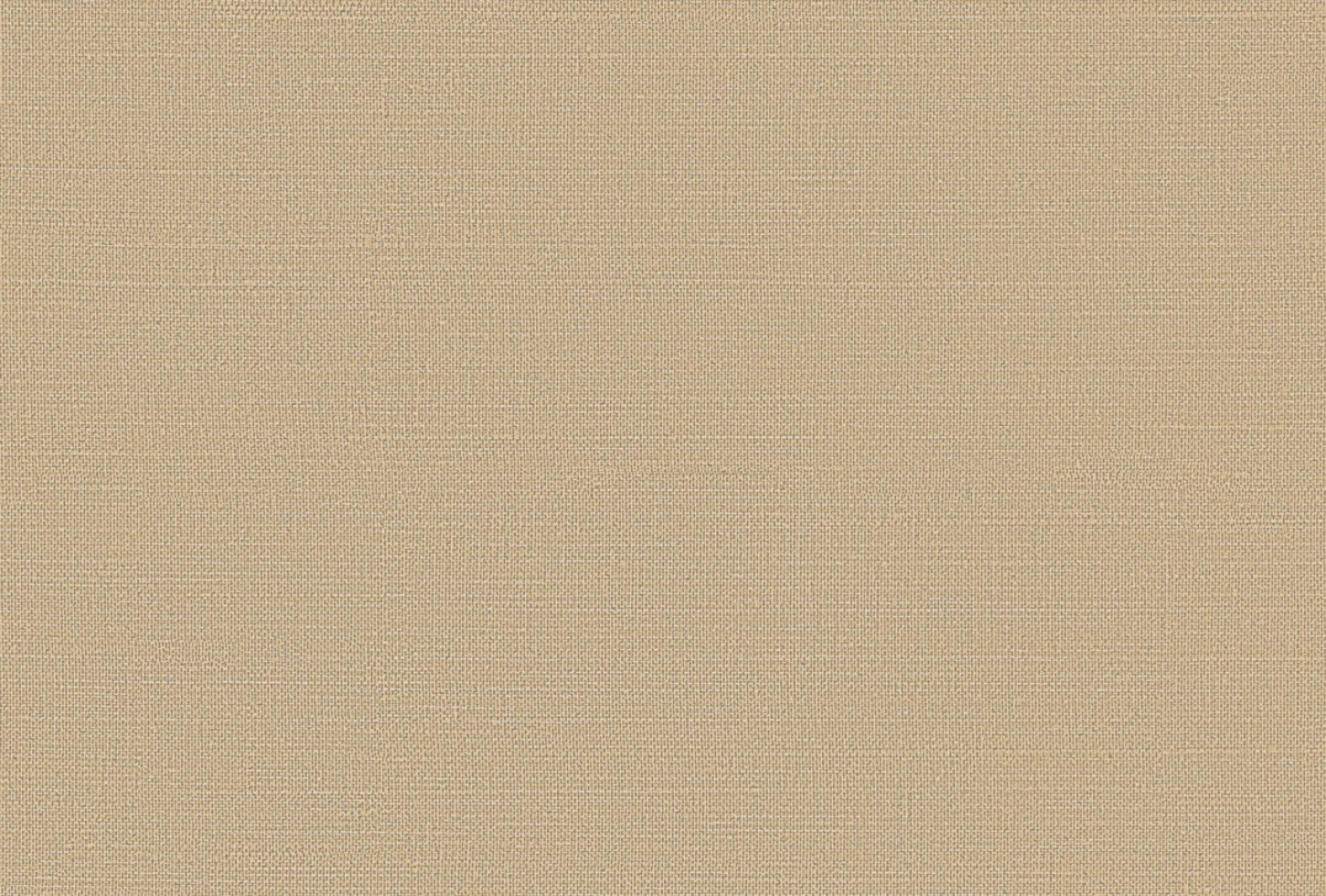 hpt402_resized Omexco Abaca HPT402 seinakate