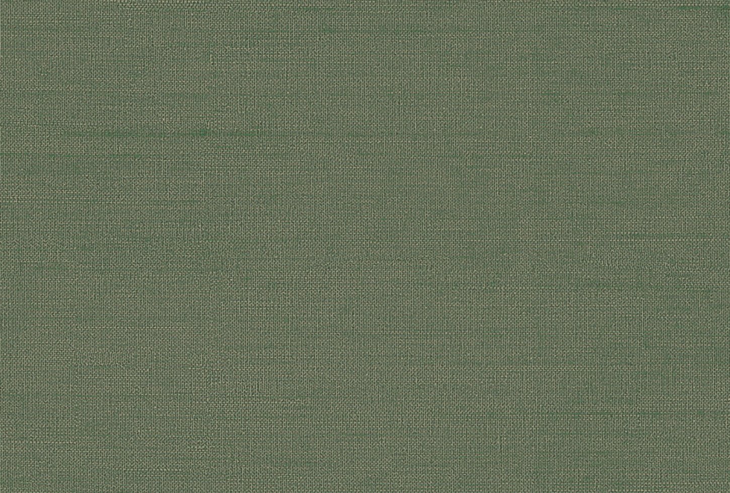 hpt408_resized Omexco Abaca HPT408 seinakate