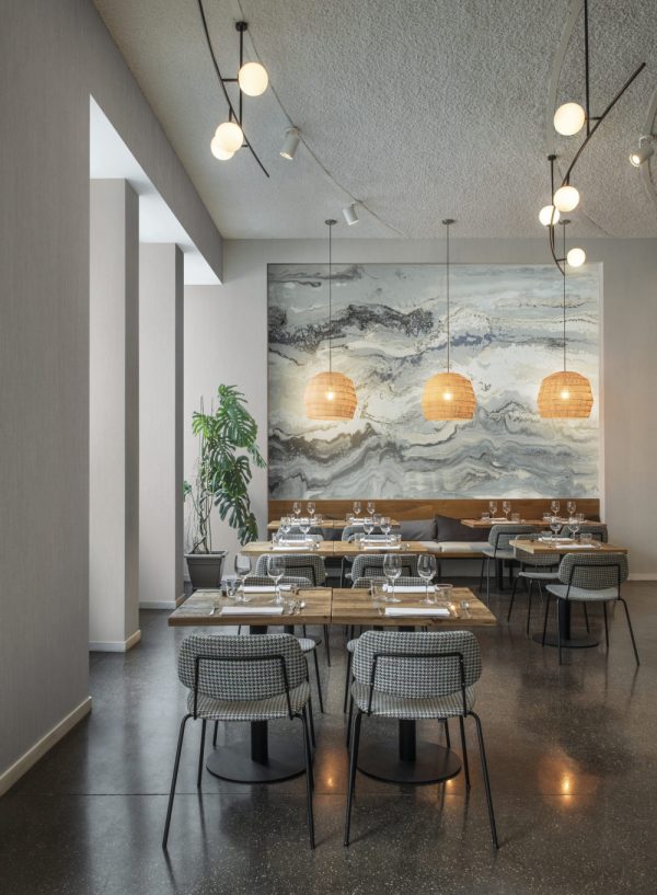 Omexco Geology ODE7112 seinakate