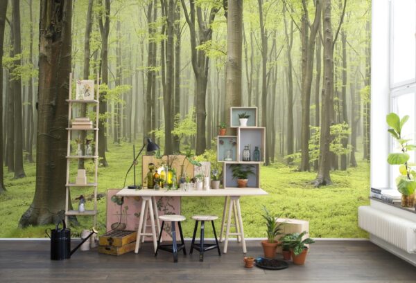 r10101_interior2 Rebel Walls pilttapeet Deciduous Forest R10101