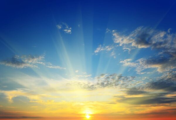 Rebel Walls pilttapeet Sunrise R10171