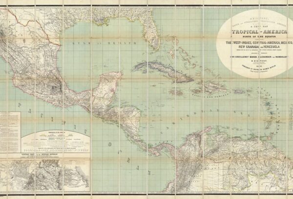 Rebel Walls pilttapeet Tropical America R11381