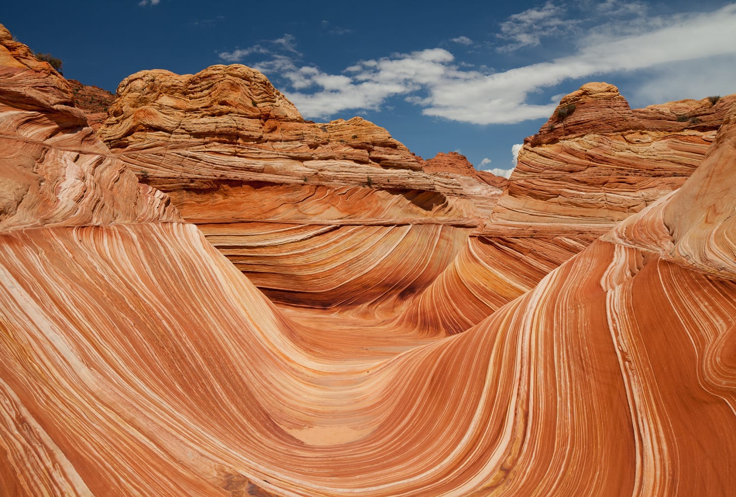 r11701_product Rebel Walls pilttapeet Arizona R11701