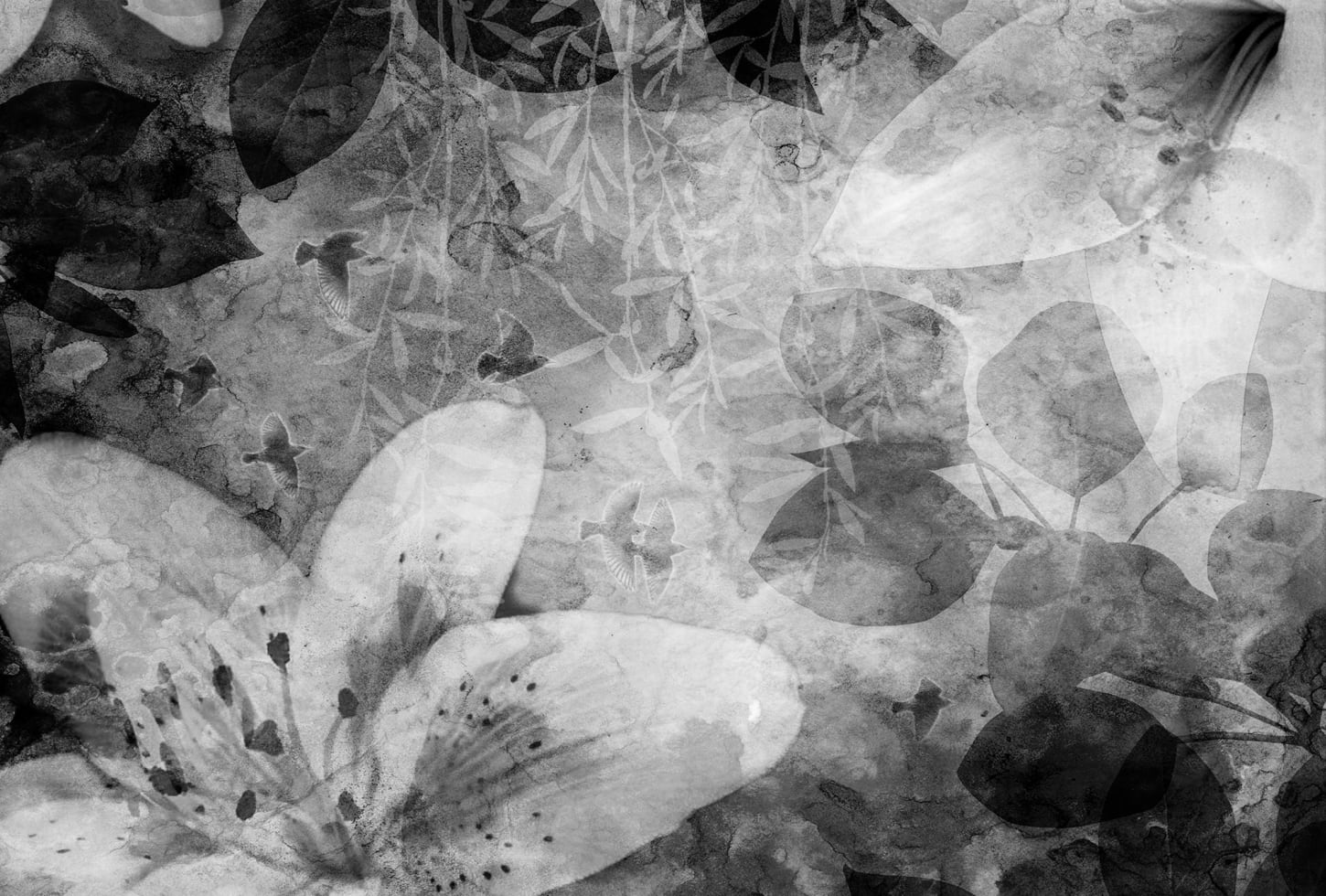 Rebel Walls pilttapeet Garden Of Dreams, Black & White R12062