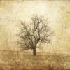 Rebel Walls pilttapeet The Lonely Tree R12081