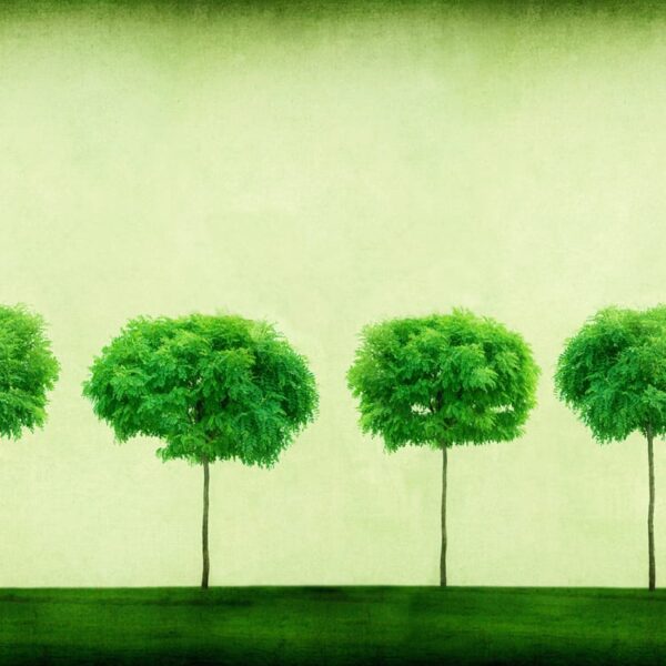 Rebel Walls pilttapeet Three Trees R12101