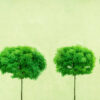 Rebel Walls pilttapeet Three Trees R12101