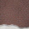 Rebel Walls pilttapeet Well-Worn Brick Wall, Red R12221